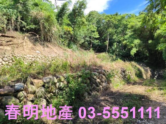 東區風景地-6