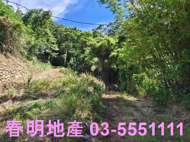 東區風景地-9