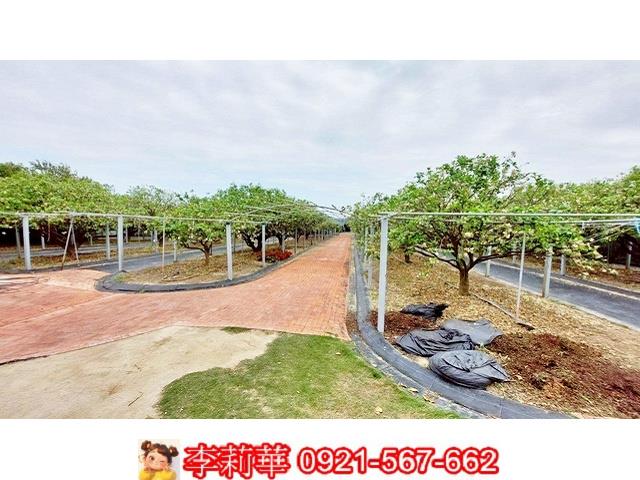 台南農地-4