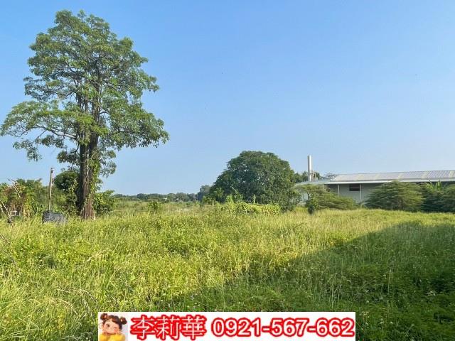 台南農地-10