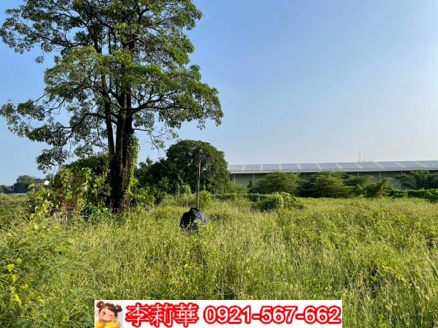 台南農地-4