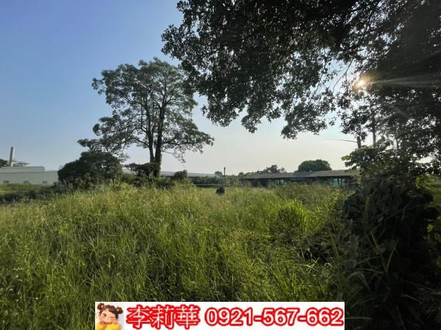台南農地-6