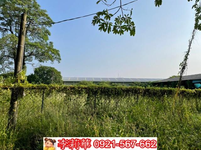 台南農地-8
