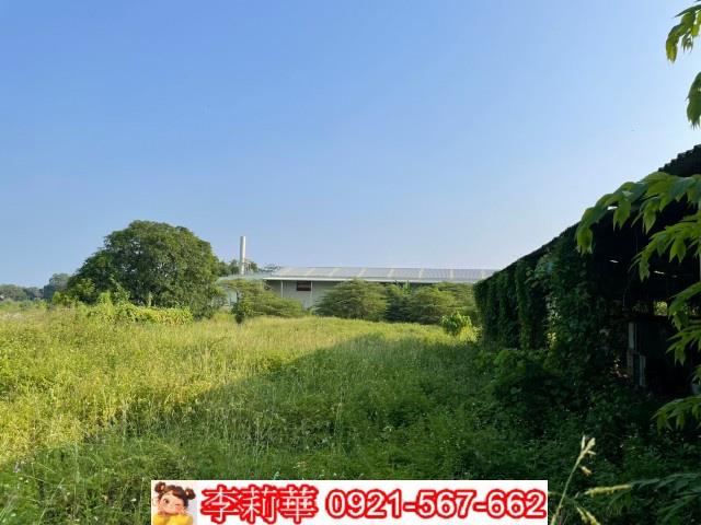 台南農地-9