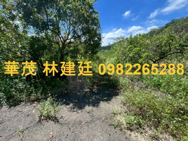 台南玉井山坡地-4