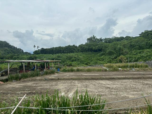 嘉義中埔農地-6