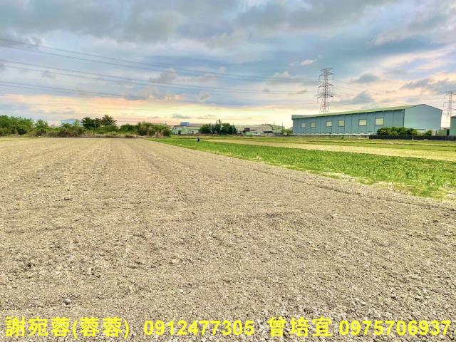 湖內農地-4