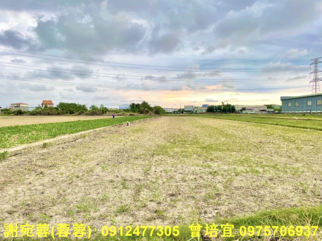 湖內農地-5