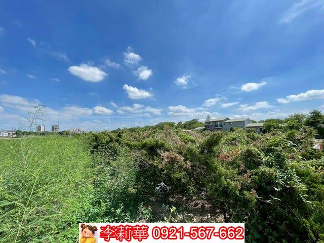 新化農地-6