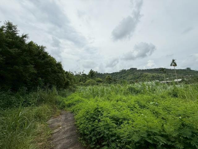 中埔農地-1