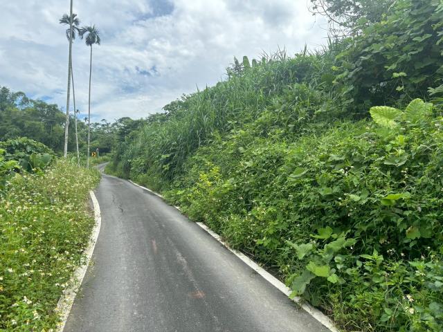 中埔農地-2