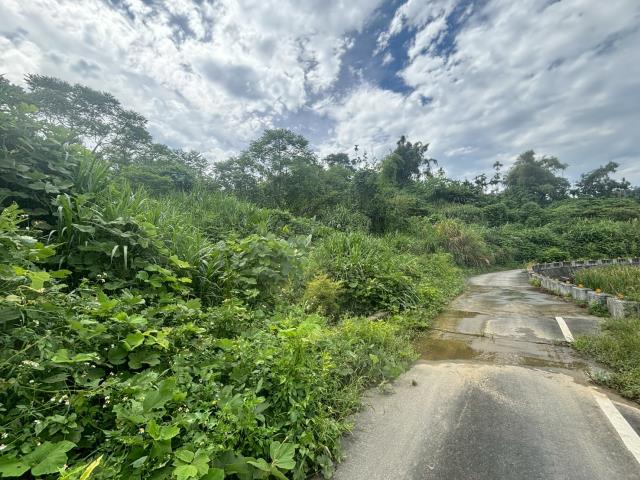 中埔農地-4