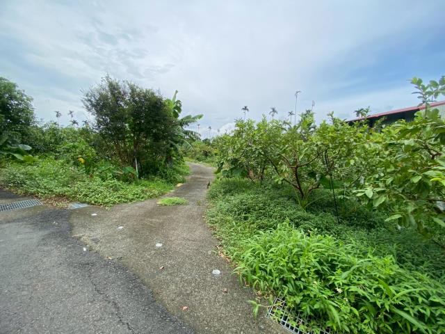 番路農地-7