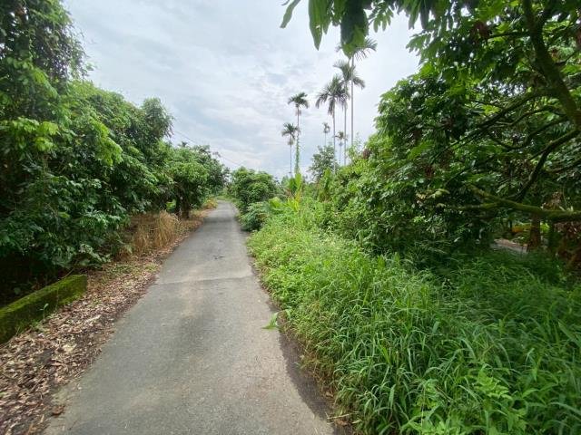 番路農地-9