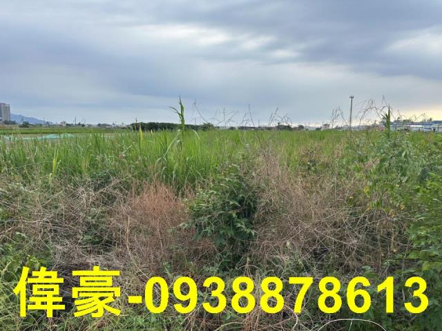 橋頭農地-1