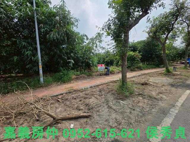 民雄農地-10