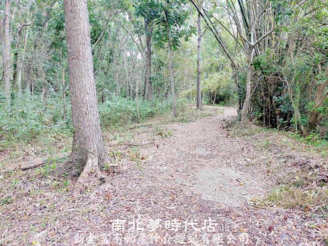 左鎮農地-10