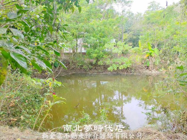 左鎮農地-11