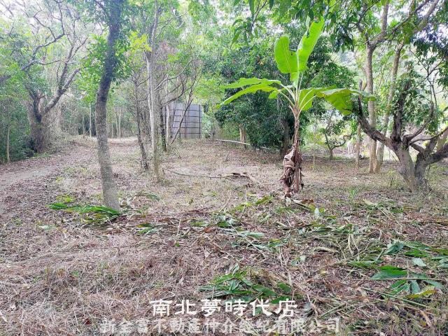 左鎮農地-1