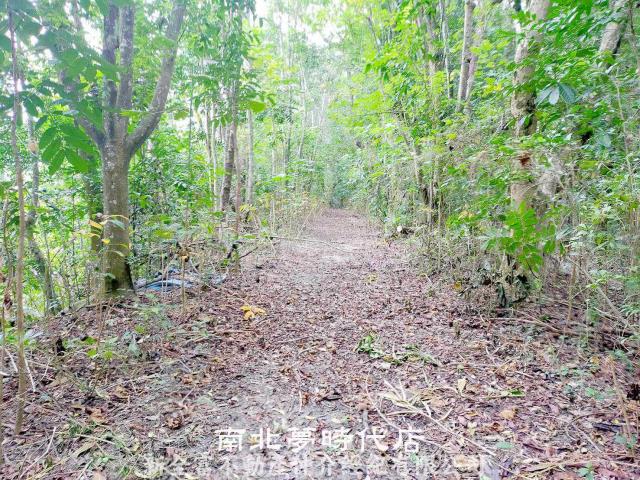 左鎮農地-2