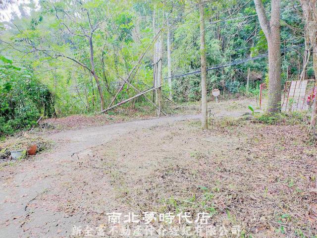 左鎮農地-4