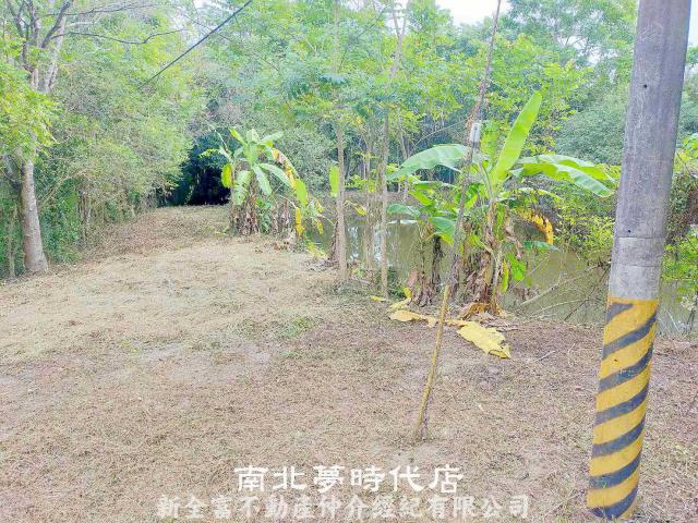 左鎮農地-6