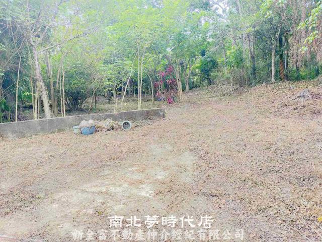 左鎮農地-8