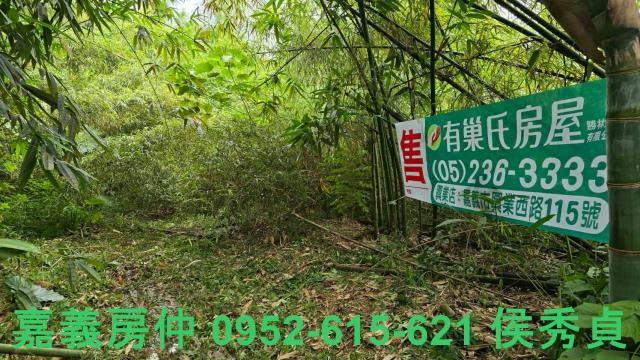 大林農地-9