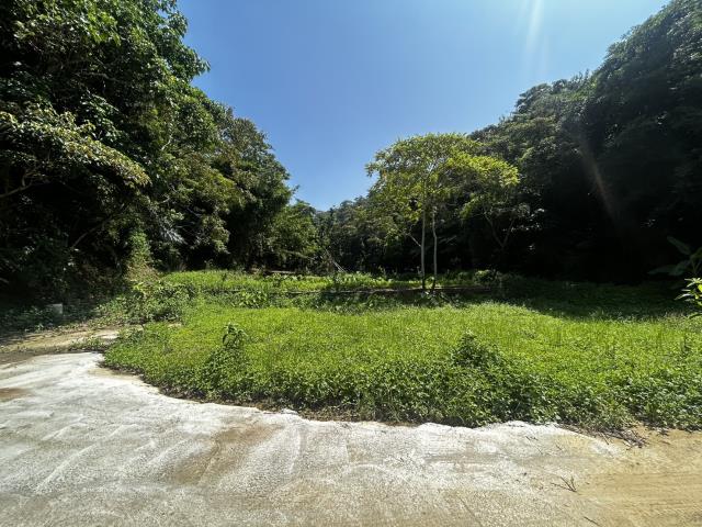 頭屋農地-4