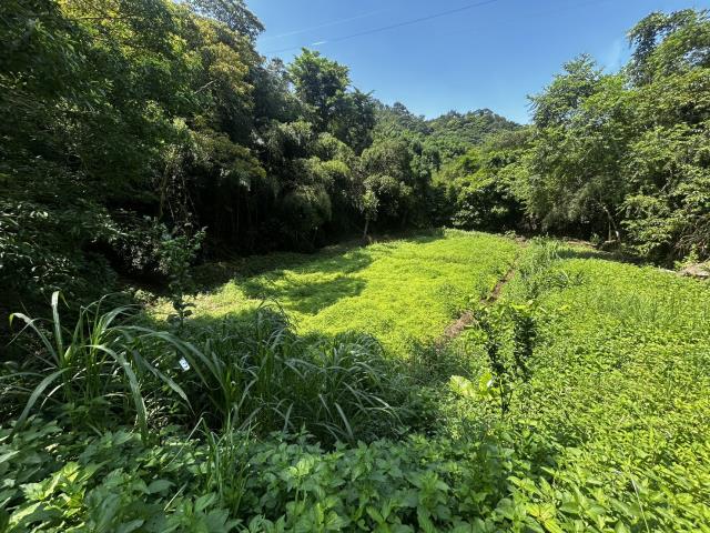 頭屋農地-7