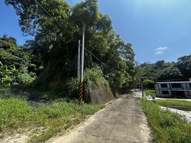 頭屋農地-8
