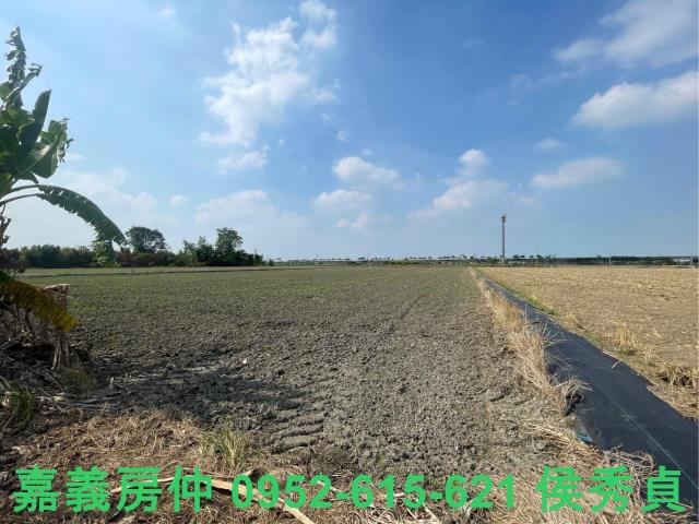水上農地-2
