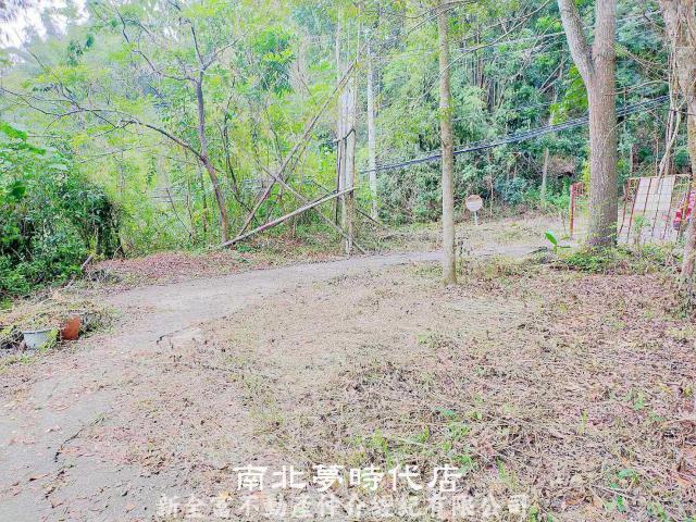 左鎮農地-4