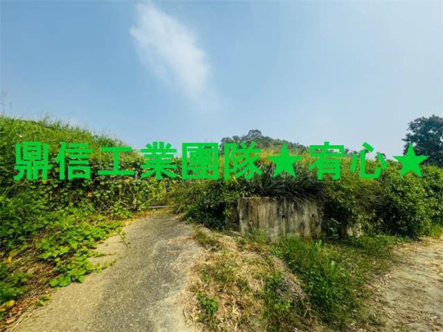 大樹農地-1