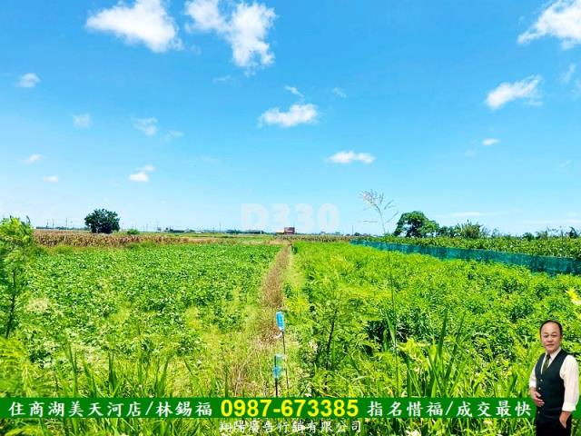 台南農地-4