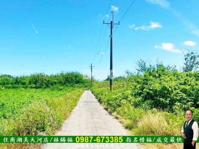 台南農地-5
