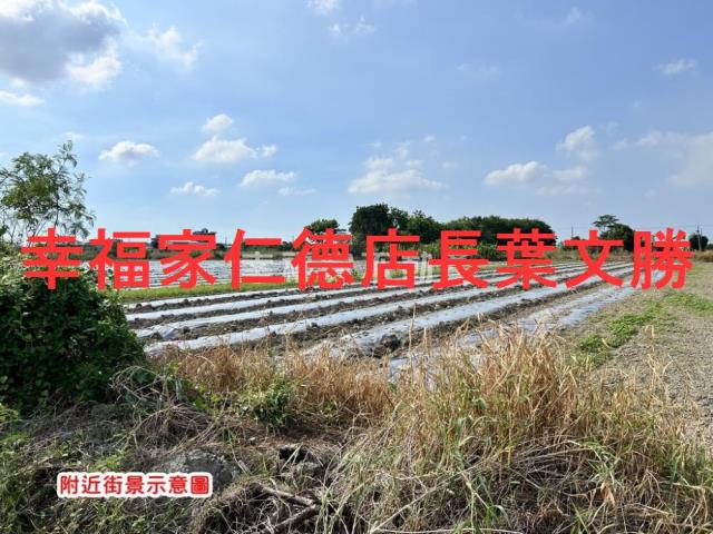 安定農地-10