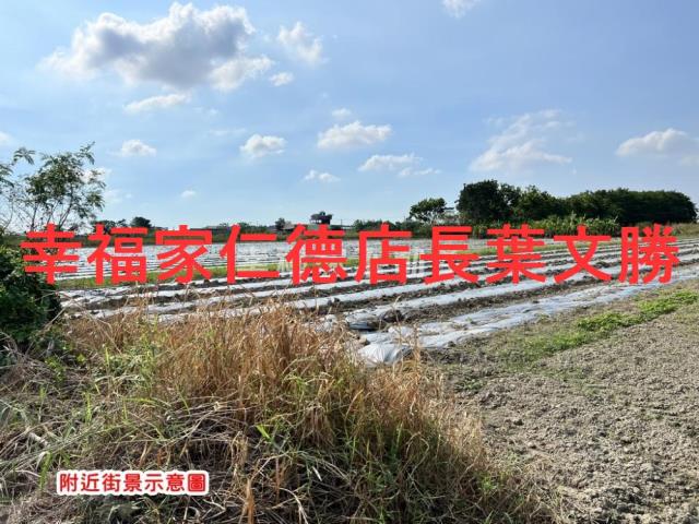 安定農地-11