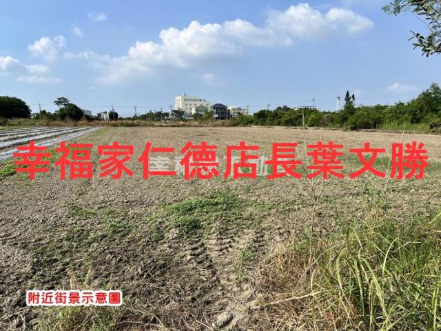 安定農地-15