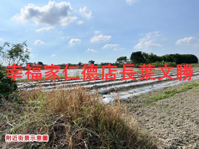 安定農地-1