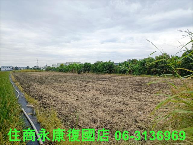 歸仁農地-10