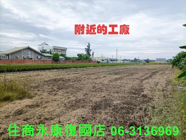 歸仁農地-3