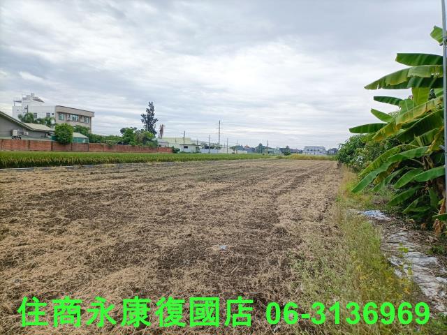 歸仁農地-4