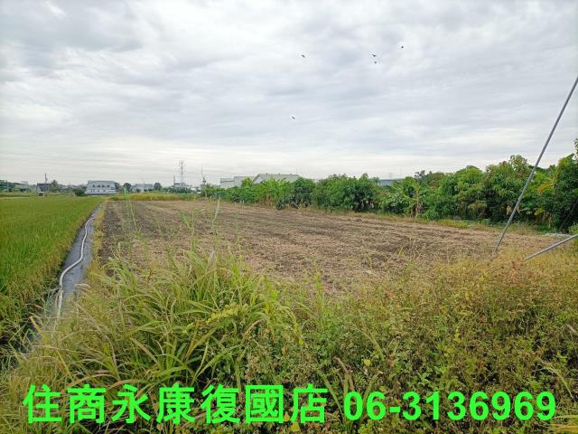 歸仁農地-9
