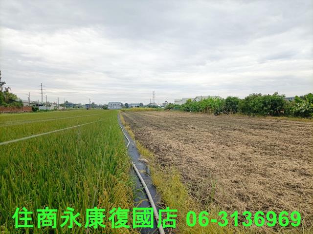 歸仁農地-1