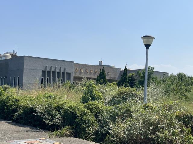 桃園建地-8