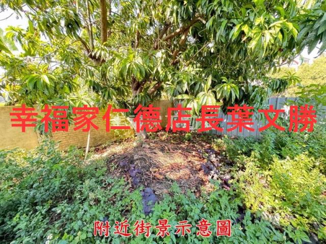 台南歸仁農地-13