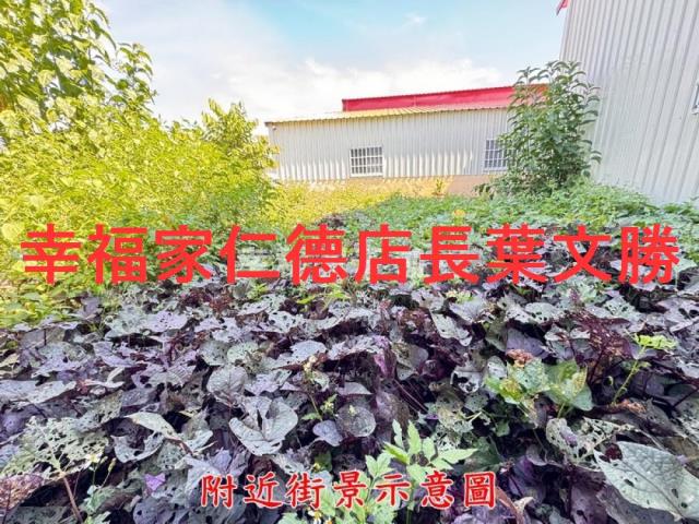 台南歸仁農地-1