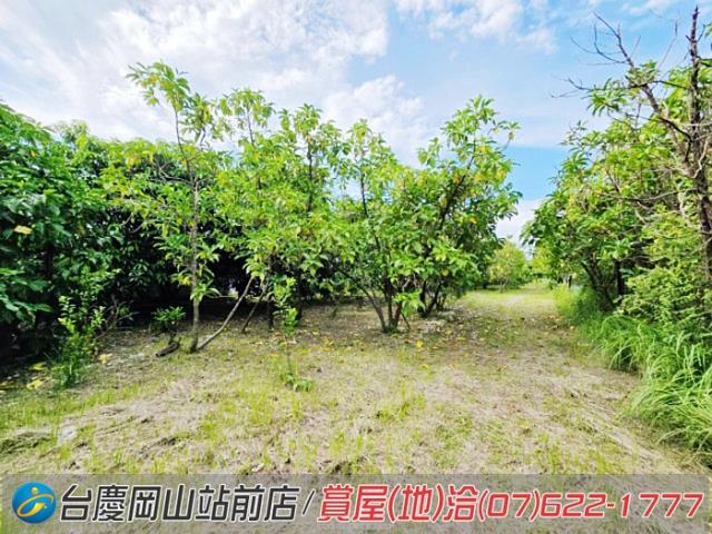 高雄岡山農地-3