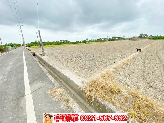 台南麻豆農地-1